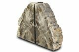 Petrified Wood (Oak) Bookends - Oregon #382135-2